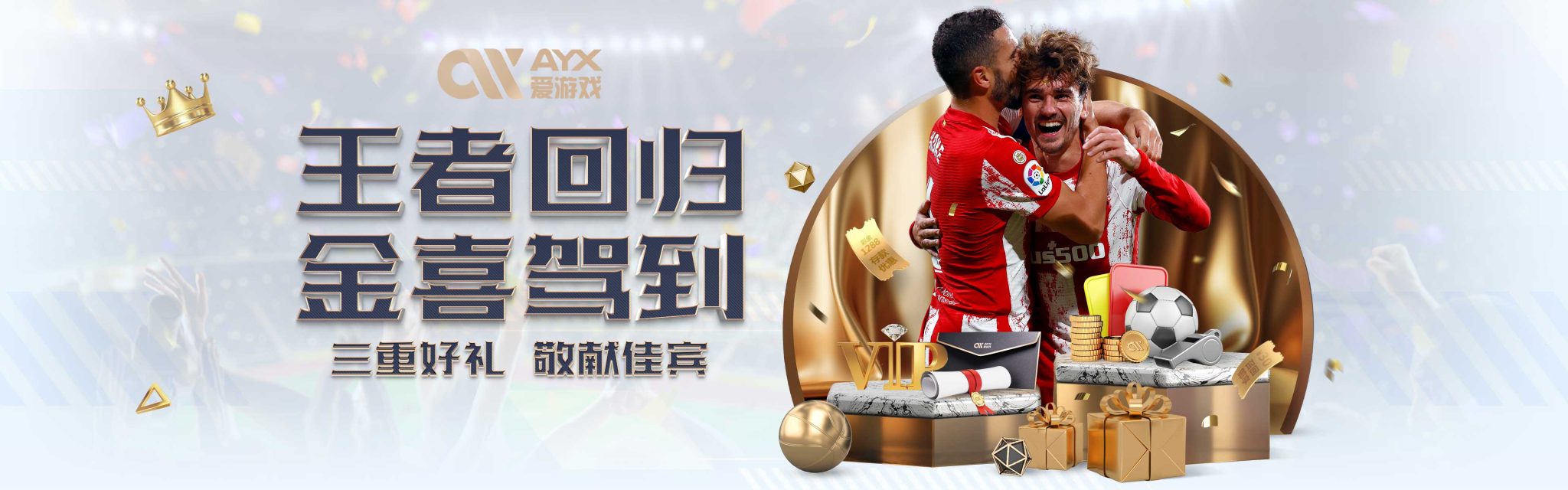 经济结合的 经济结合的